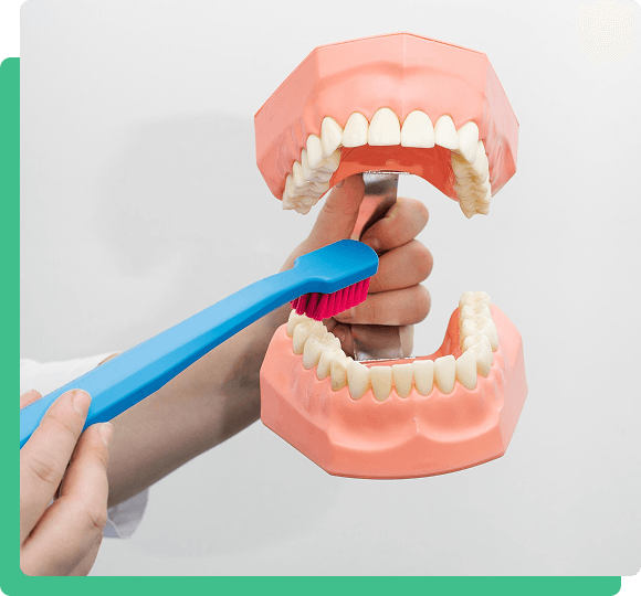 Valplast Flexible Partial Denture